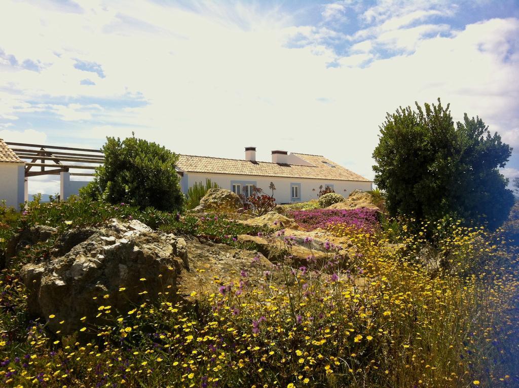 Cerca Do Sul Bed & Breakfast São Teotónio Exterior foto